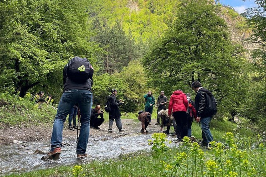 13 km hike in Borjomi - Group tour from Tbilisi 2