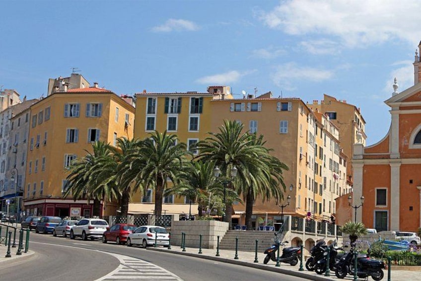 Una strada con auto parcheggiate, palme e edifici a più piani. 4