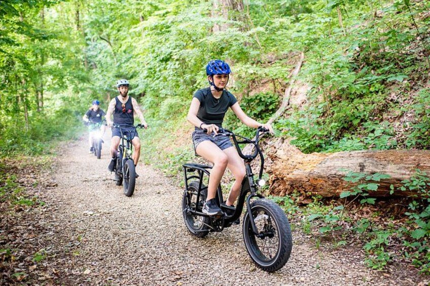 3-Hour E-Bike Sightseeing and Breweries Tour in Roanoke 4