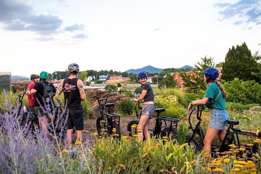 3-Hour E-Bike Sightseeing and Breweries Tour in Roanoke 1