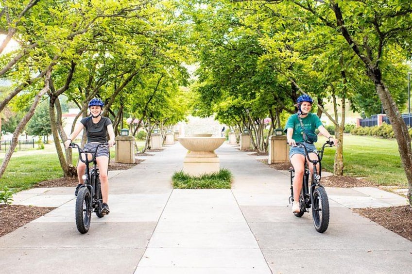 3-Hour E-Bike Sightseeing and Breweries Tour in Roanoke 2