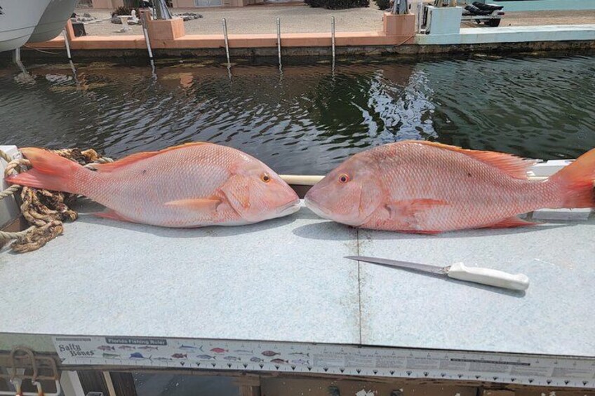 Marathon Florida Keys Fishing Experience 5