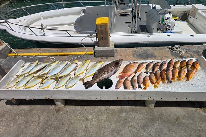 Marathon Florida Keys Fishing Experience 4