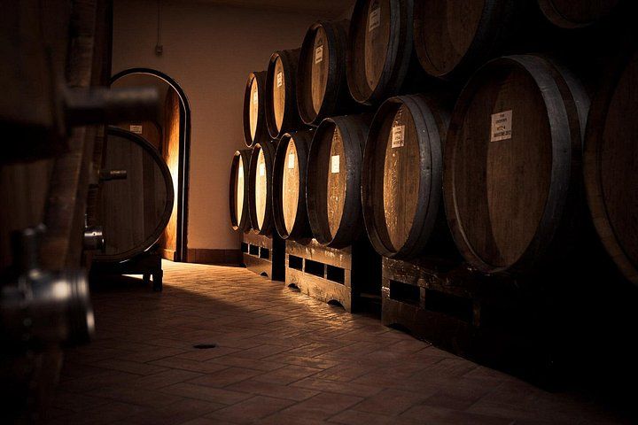 Tour and tasting of 5 Valpolicella Vintages Wines near Fumane 3