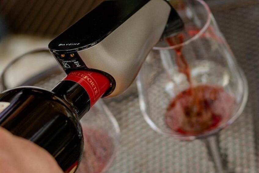 Tour and tasting of 5 Valpolicella Vintages Wines near Fumane 5