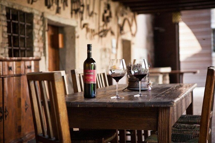 Tour and tasting of 5 Valpolicella Vintages Wines near Fumane 4