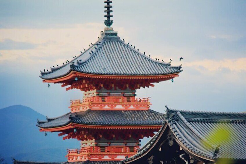 Perfect 4 Day Sightseeing Tour in Japan