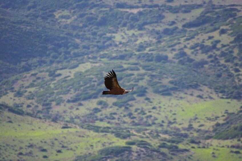 Alghero: Jeep tour to discover nature and breathtaking landscapes 3