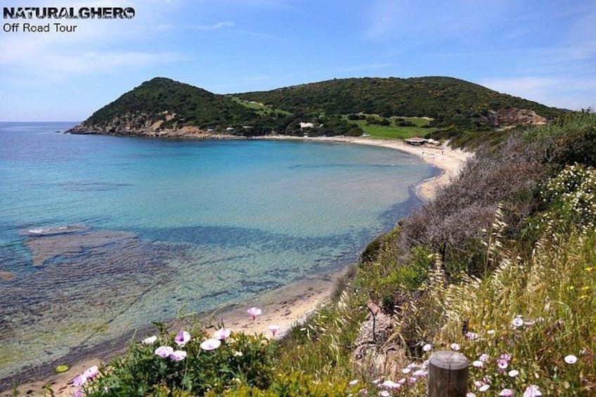 Alghero: Jeep tour to discover nature and breathtaking landscapes 2