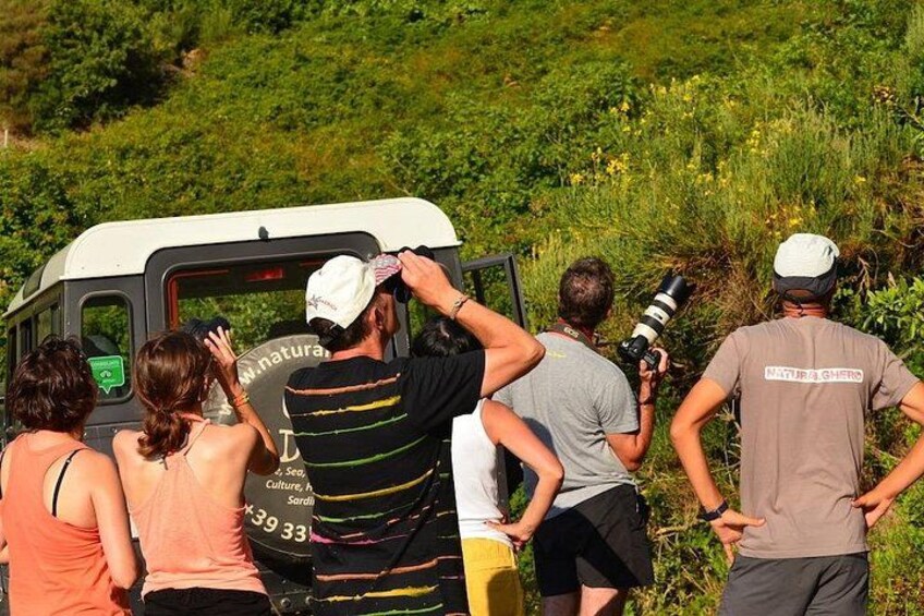 Alghero: Jeep tour to discover nature and breathtaking landscapes 3