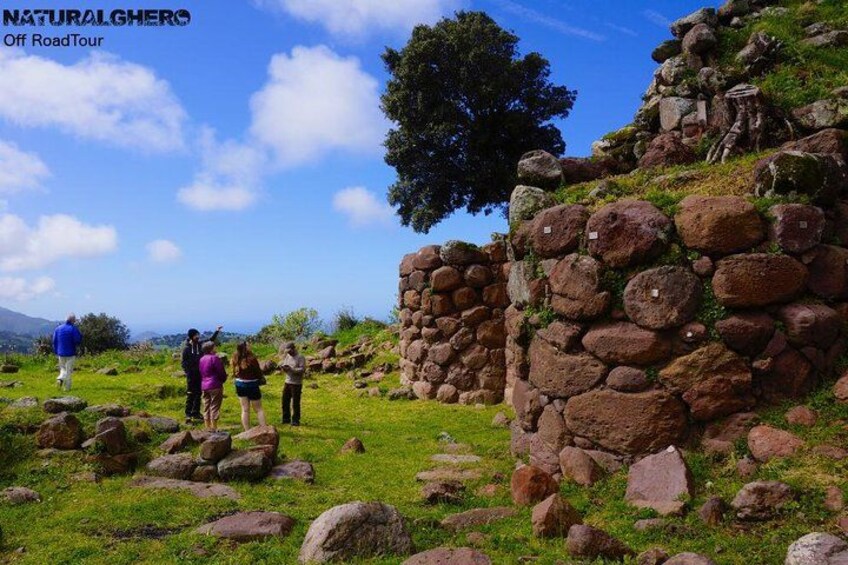 A group of people walking on a grassy path with a stone wall and a large tree in the background. 2