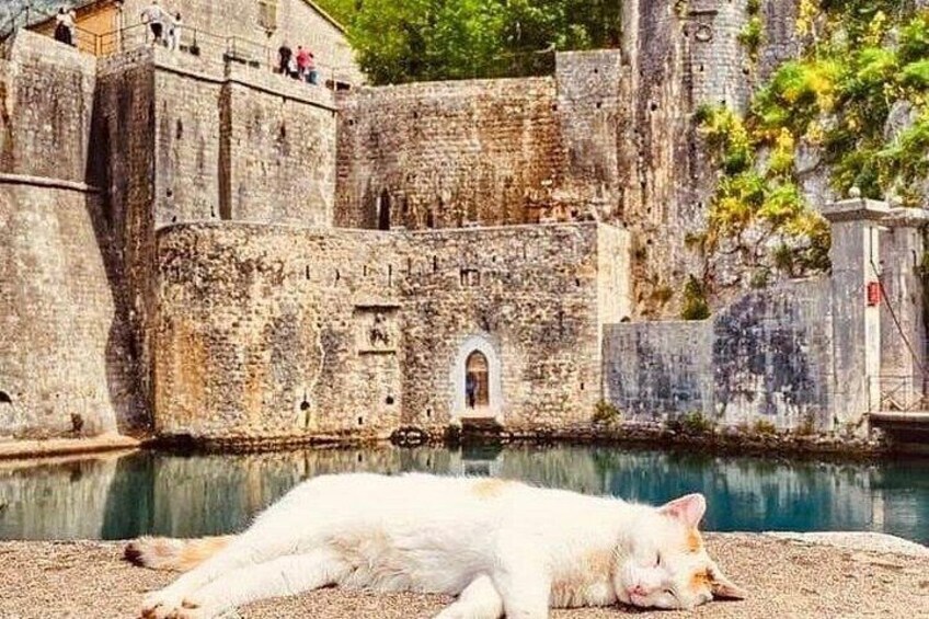 Old Kotor ,Charming Perast & Our Lady of the Rocks Private tour 3