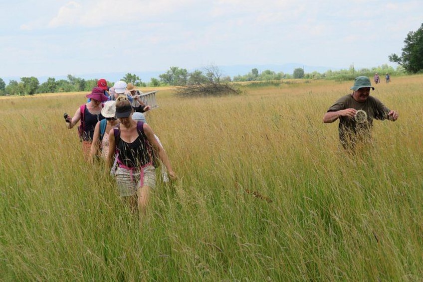 Un grupo de personas caminando por hierba alta en un campo bajo un cielo despejado. 5