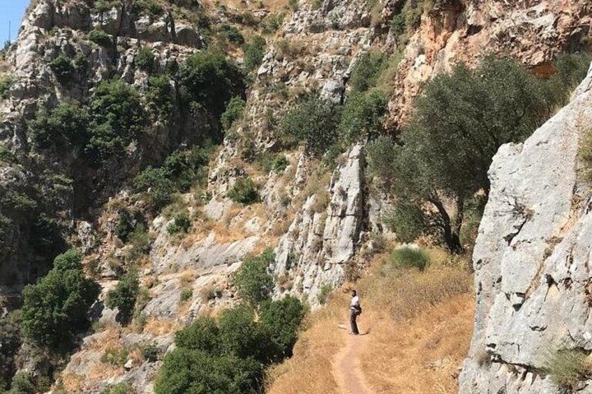 A rocky hillside with sparse vegetation and a person hiking. 4