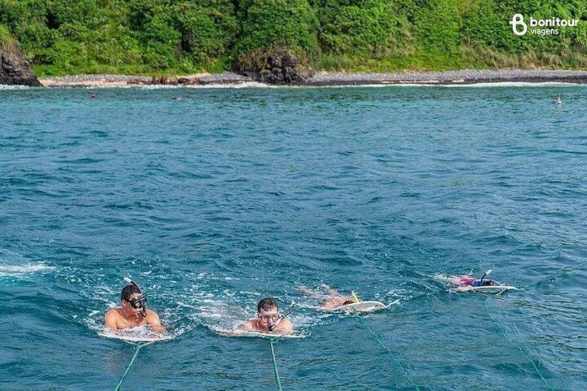 Catamaran trip with meal (Eventide VIP) 2