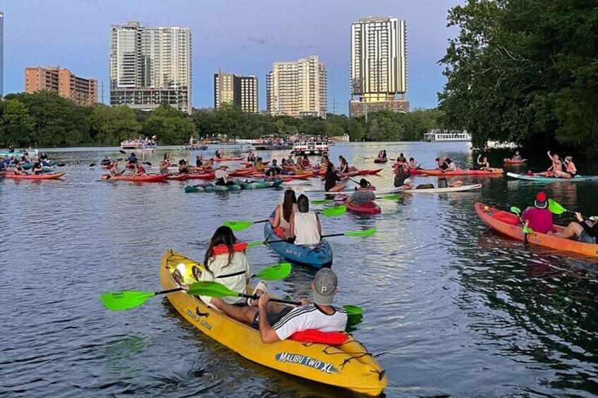 Downtown Austin Sunset Kayak Tour with 1.5 Million Bats 2
