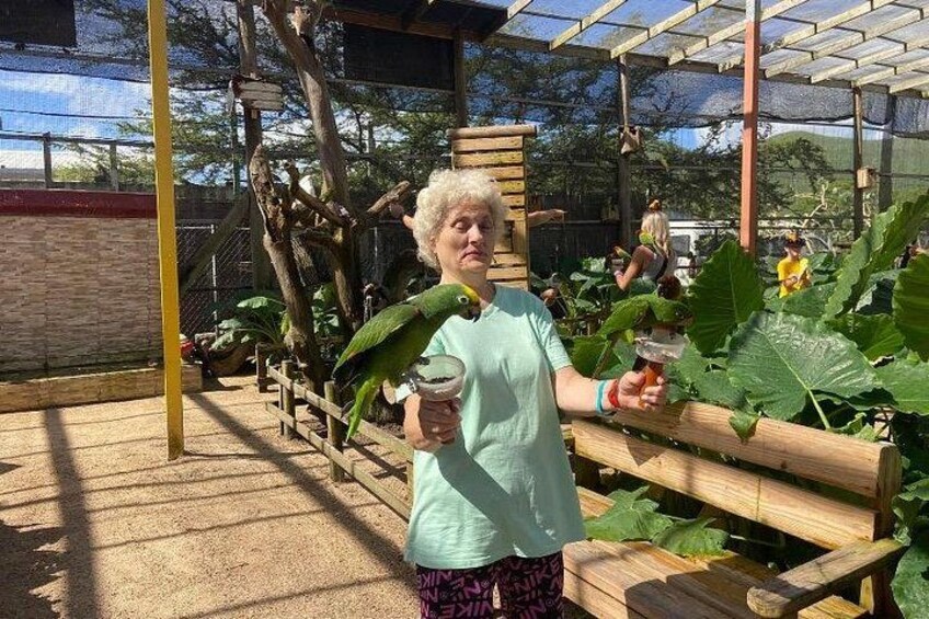 Une personne tenant une plante, debout dans un jardin agrémenté de structures en bois et de grandes feuilles. 5