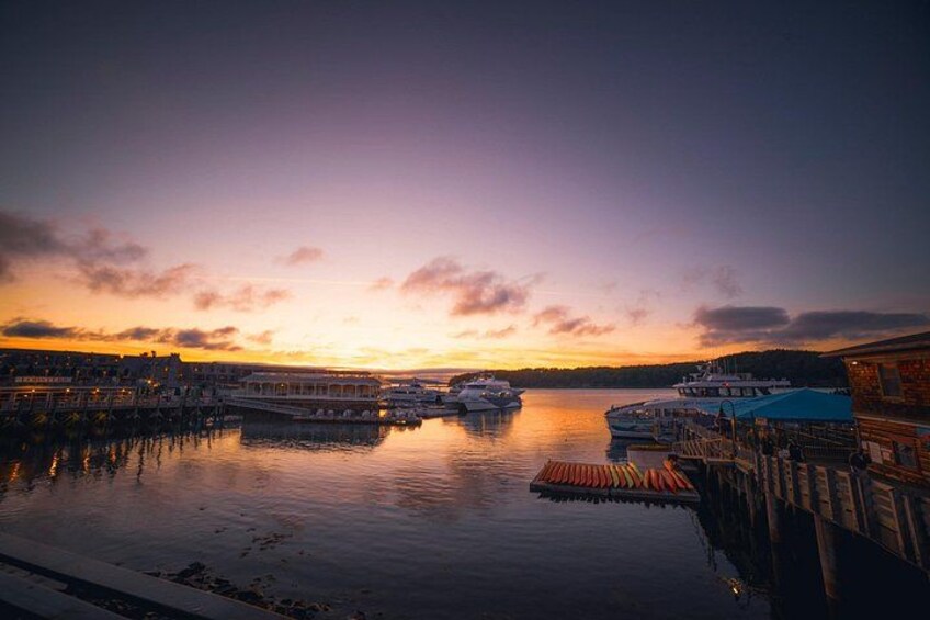 90-minute Ghost Walking Tour in Bar Harbor 2