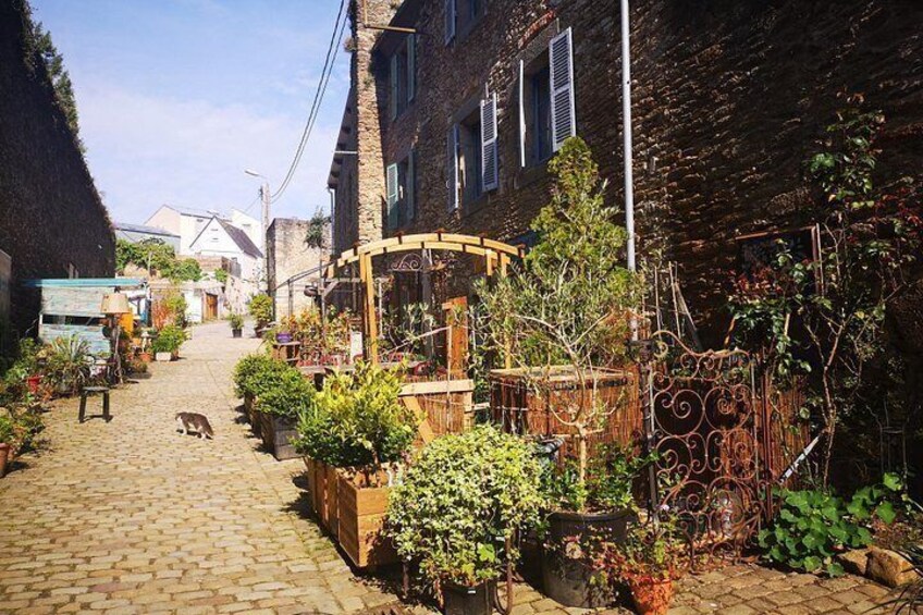 A cobblestone street with a wooden archway, potted plants, and a metal fence. 2