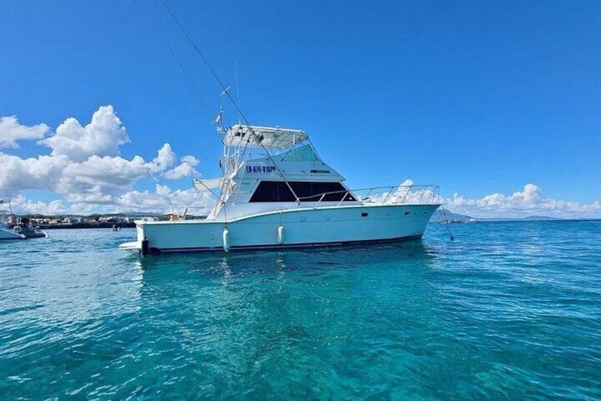 Puerto plata The Best shore tours 5h Private Deep sea Fishing 1