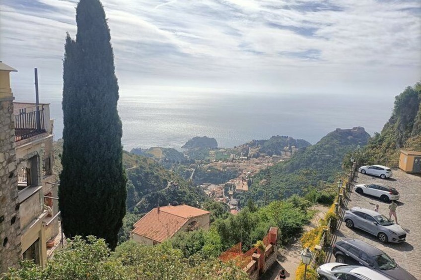 Un paysage côtier avec un grand cyprès, des voitures garées et des bâtiments. 2