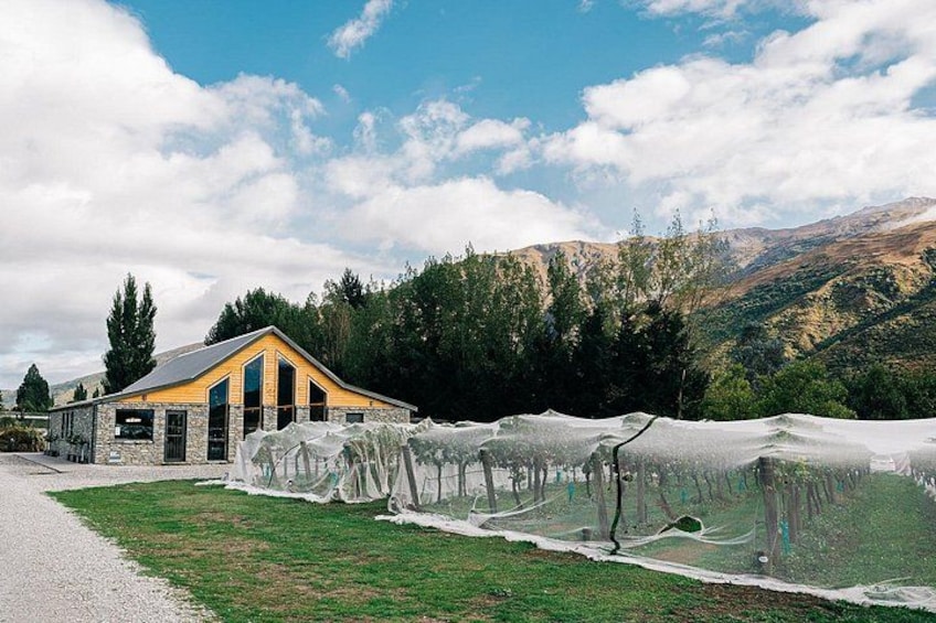 Kinross Winery: Premium Central Otago Wine Tasting Experience 2
