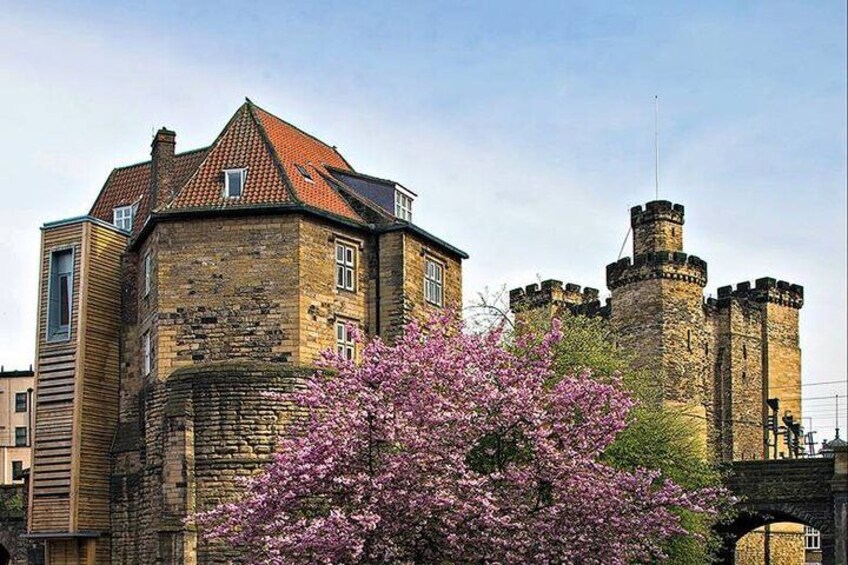 90 minute Old Newcastle Walking Tour - FREE castle entry included 1