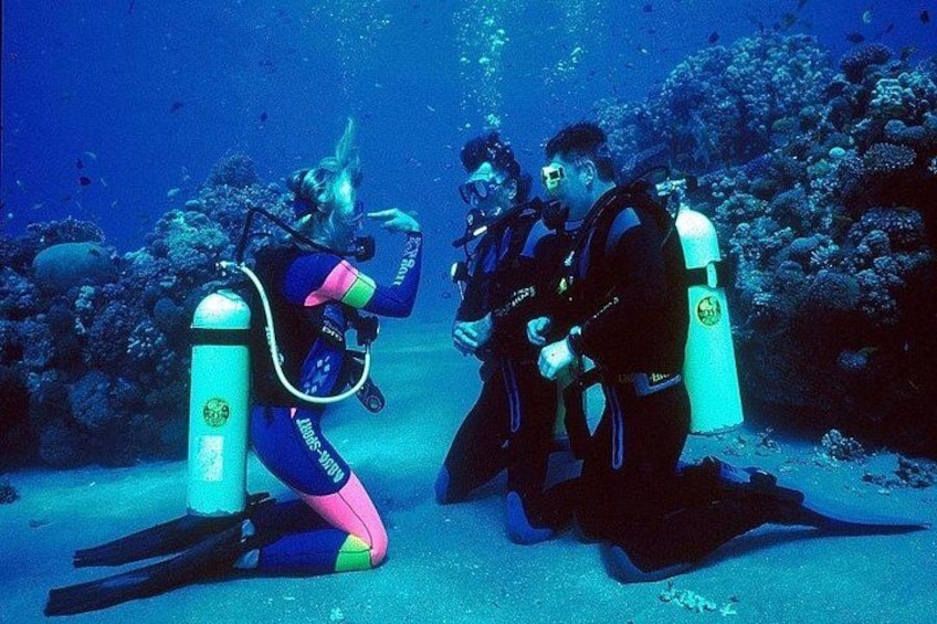 bodrum scuba diving 1