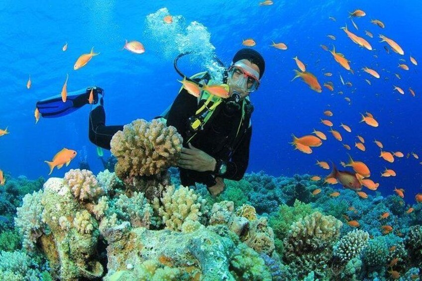 bodrum scuba diving 3