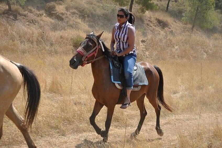 Horse Safari Tour in Marmaris & Icmeler 5
