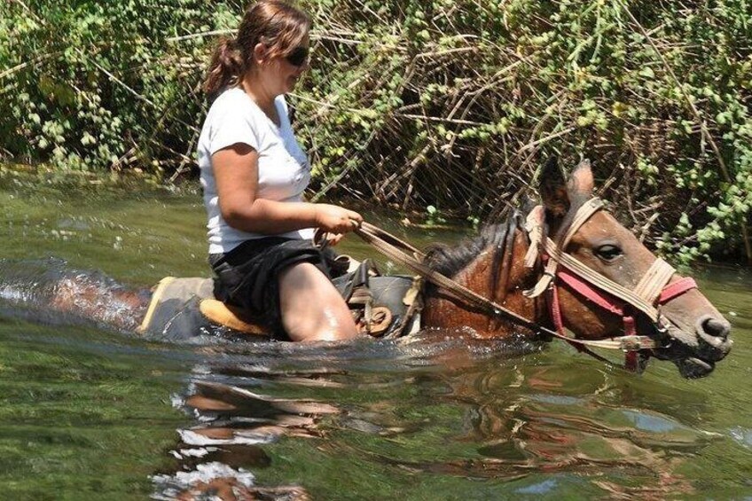 Horse Safari Tour in Marmaris & Icmeler 3