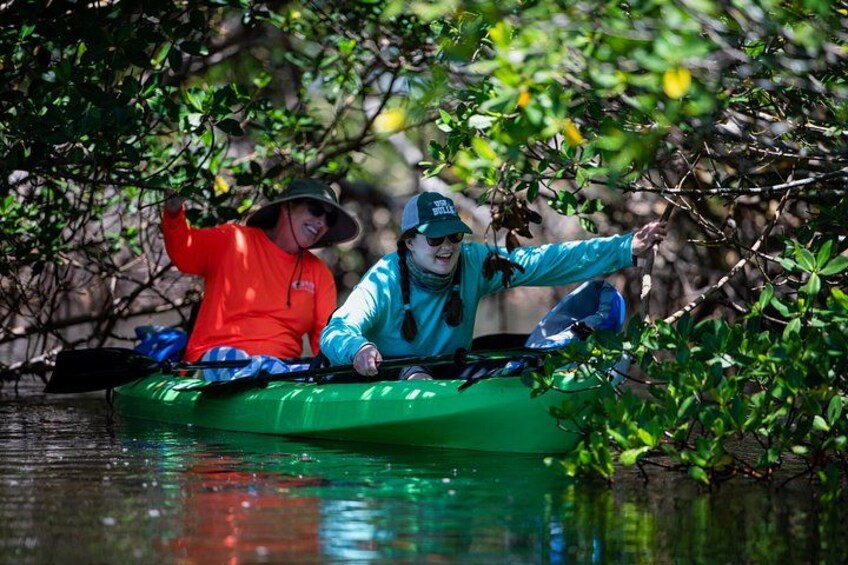 Two people kayaking in a green kayak through a mangrove area. 1