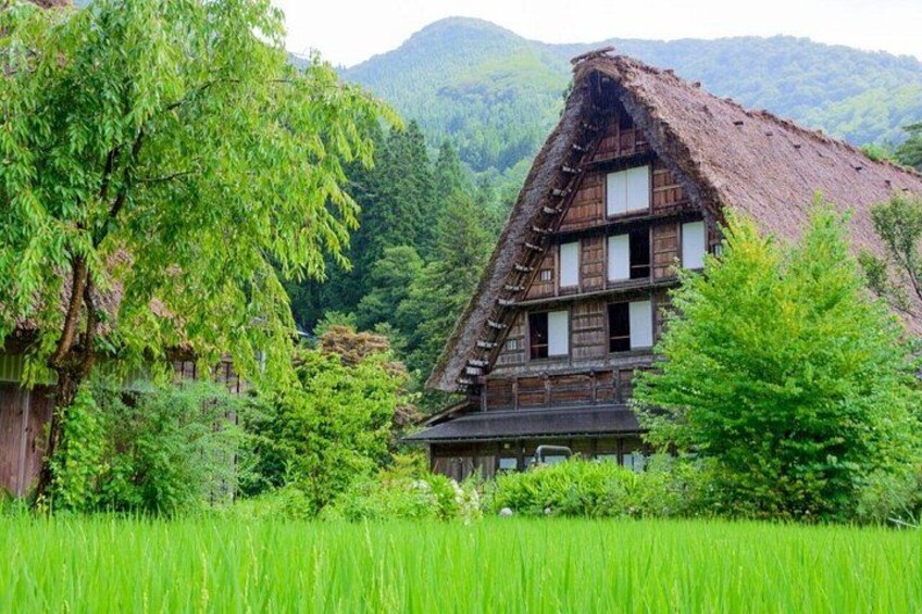 1-Day Takayama Tour: Explore Scenic Takayama and Shirakawago 2