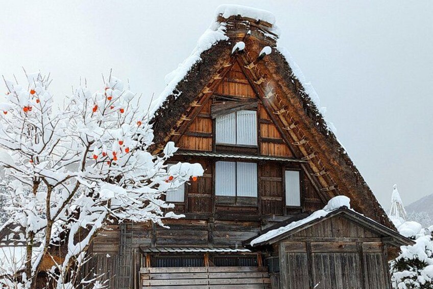 1-Day Takayama Tour: Explore Scenic Takayama and Shirakawago 3