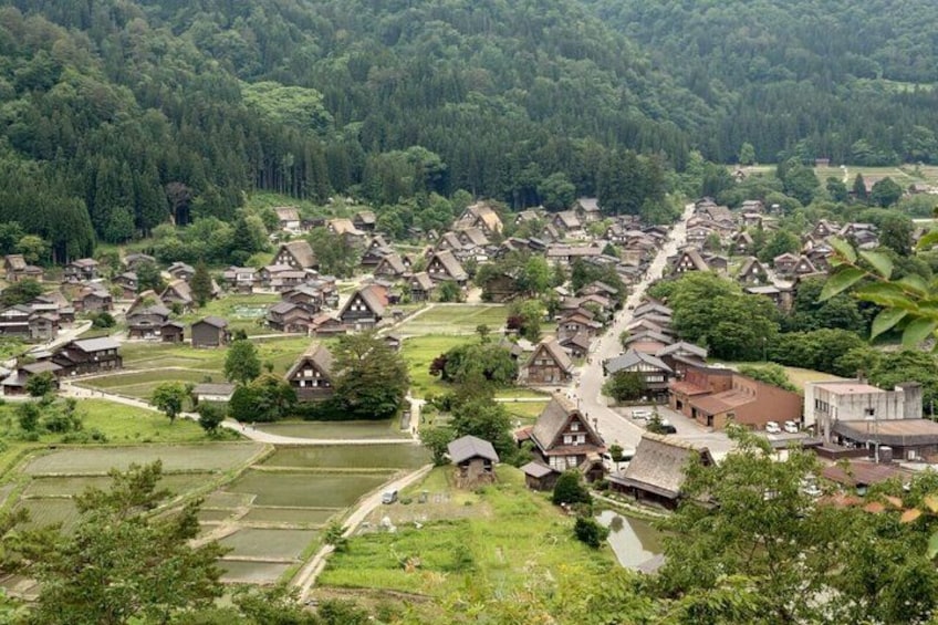 1-Day Takayama Tour: Explore Scenic Takayama and Shirakawago 1