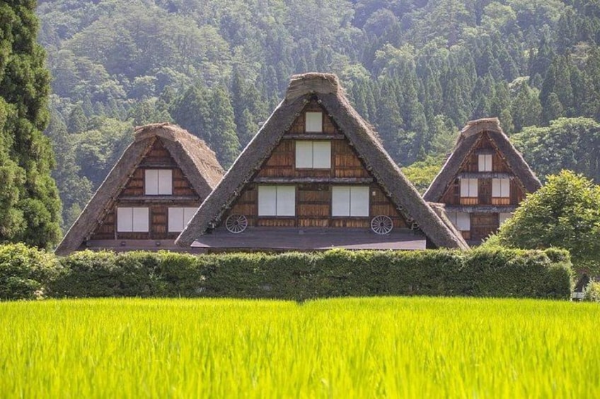 1-Day Takayama Tour: Explore Scenic Takayama and Shirakawago 2