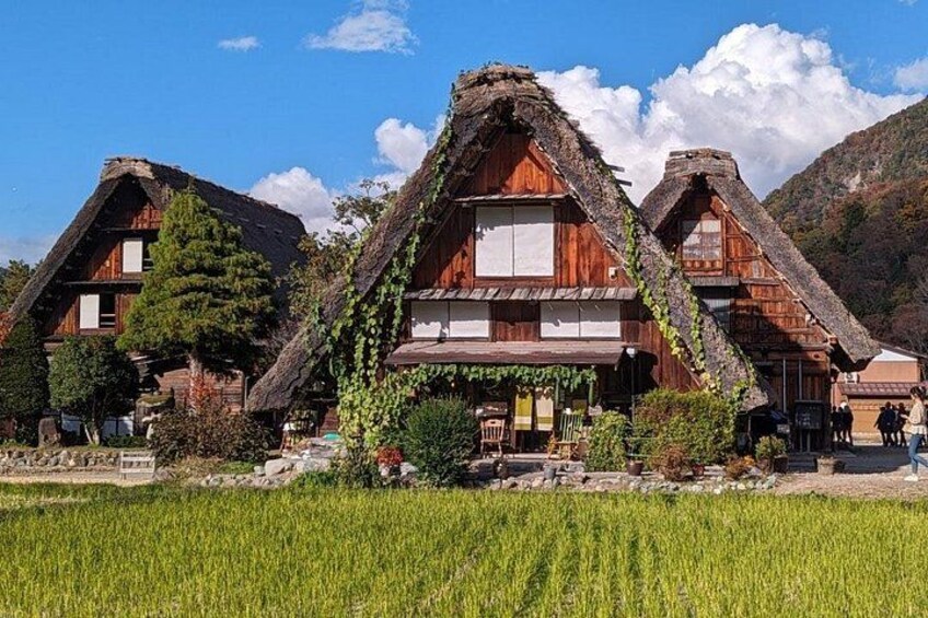 1-Day Takayama Tour: Explore Scenic Takayama and Shirakawago 4