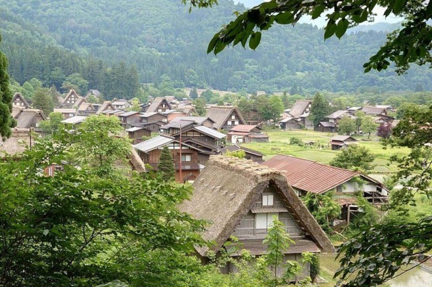 1-Day Takayama Tour: Explore Scenic Takayama and Shirakawago 3
