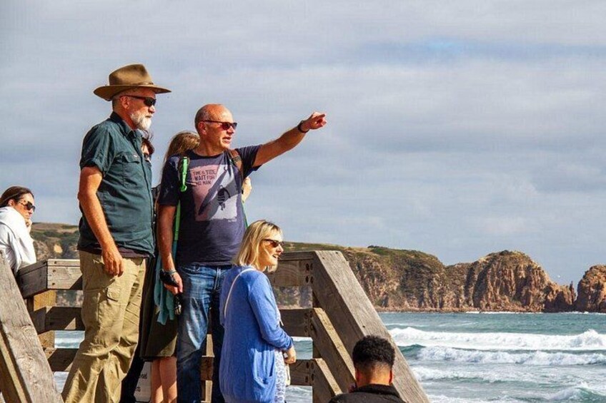 Phillip Island & Penguin Parade Afternoon Eco Tour from Melbourne 2