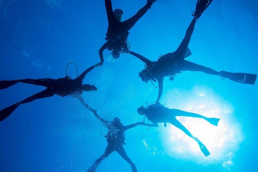 Four scuba divers underwater with the sun visible above them. 1