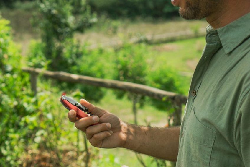 A person holding a red and black device, possibly a camera or a phone, in a green shirt, with a blurred natural background. 5