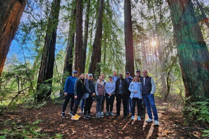 Napa Valley Redwood Hike 3