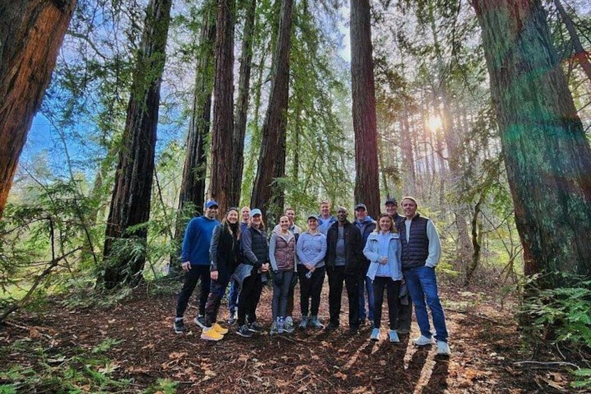 Napa Valley Redwood Hike 4