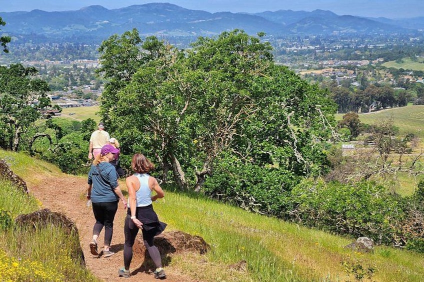 Napa Valley Redwood Hike 2