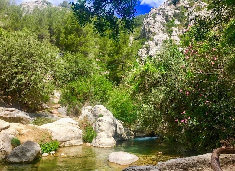 Picture 4 for Activity From Albir or Benidorm: Algar Waterfalls Day Trip