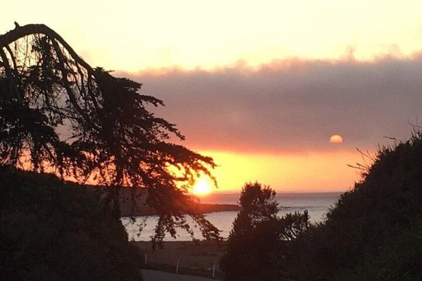 A sunset over a body of water with silhouetted trees and a distant sun. 3