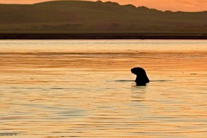 A person wading in a body of water with a sunset in the background. 2