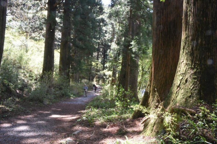 Hike Hakone Hachiri 2