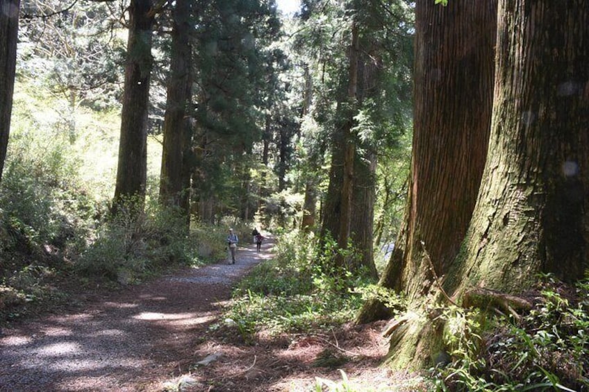 Hike Hakone Hachiri 2