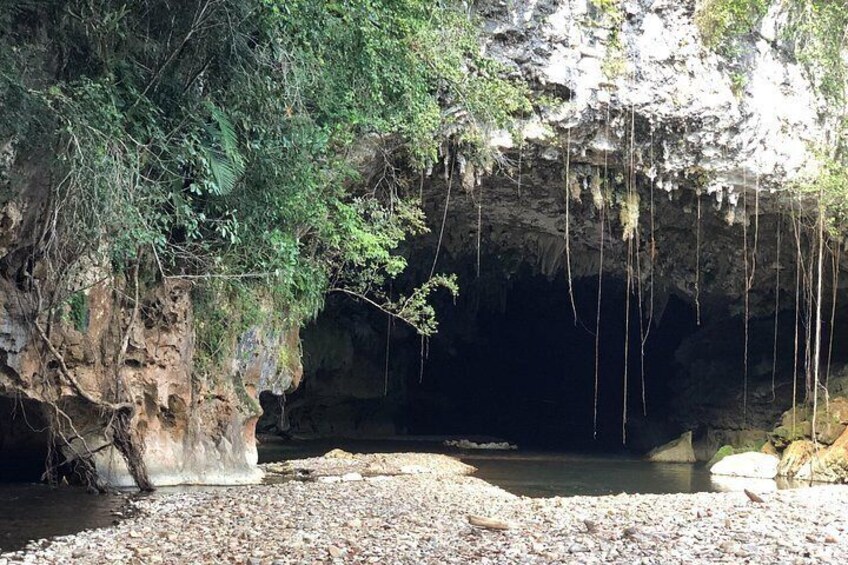Charlie's Cave Tubing Tour for cruisers (lunch included) 3